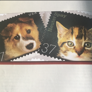 中文字幕资源站
