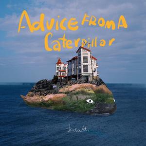 中文字幕资源站
