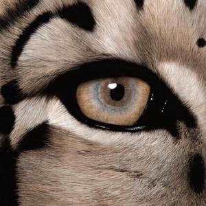 中文字幕资源站
