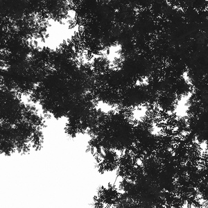 中文字幕资源站
