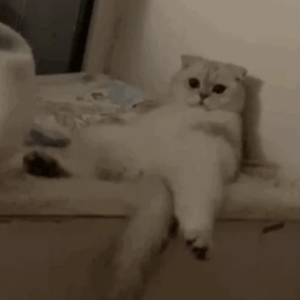 中文字幕资源站
